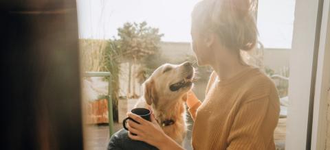 consejos para educar perro